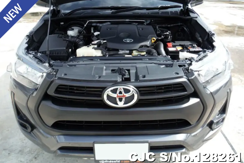 Toyota Hilux in Gray for Sale Image 9