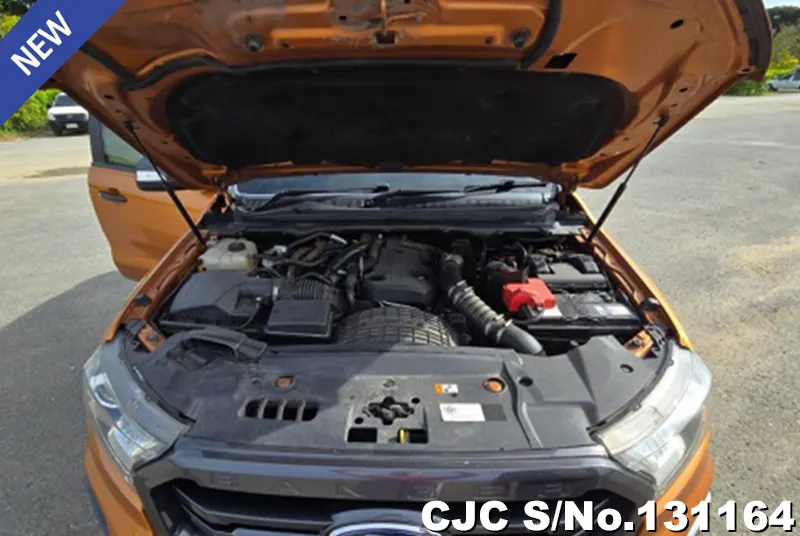 Ford Ranger in Orange for Sale Image 9