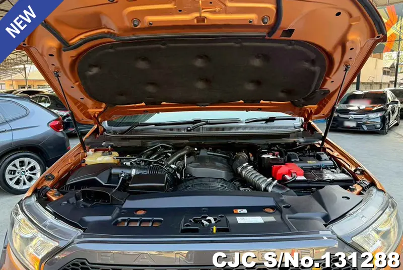 Ford Ranger in Orange for Sale Image 14