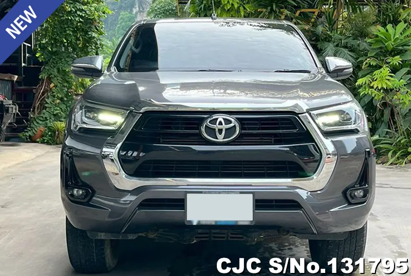 Toyota Hilux in Gray for Sale Image 4