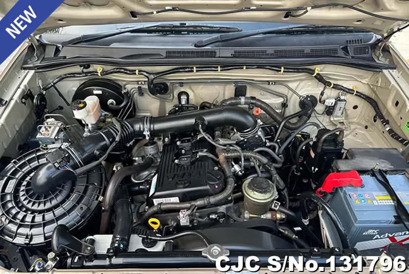 Toyota Hilux in Gold for Sale Image 11
