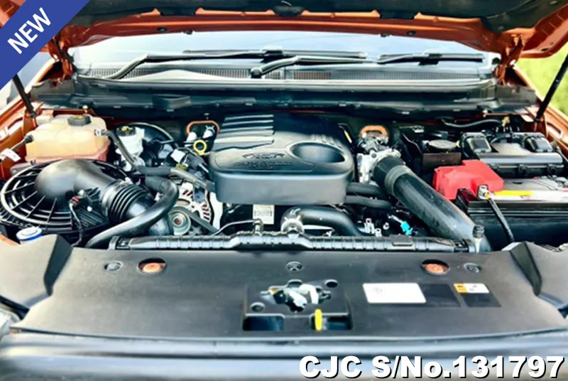 Ford Ranger in Orange for Sale Image 14