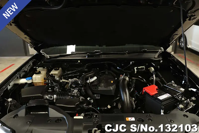 Ford Ranger in Black for Sale Image 12