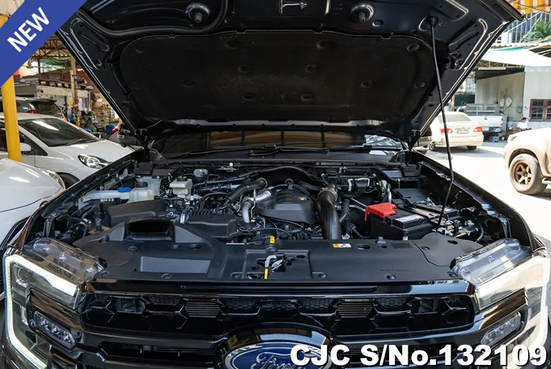 Ford Ranger in Black for Sale Image 14