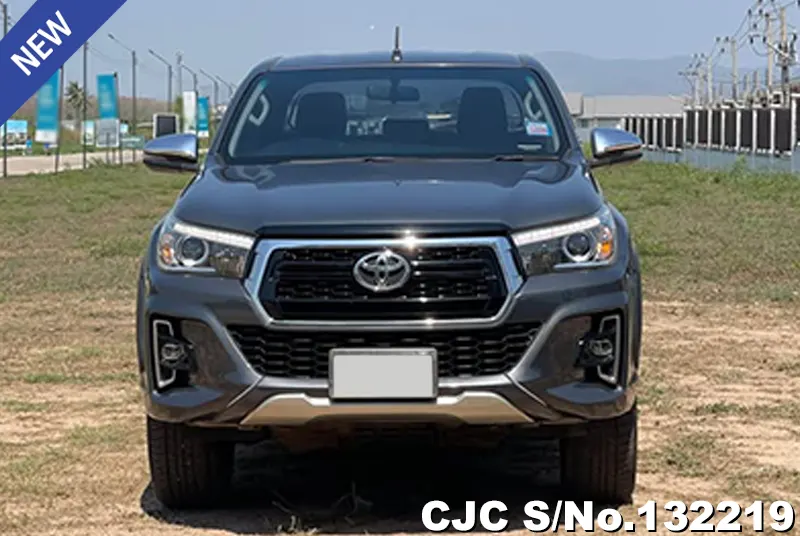 Toyota Hilux in Gray for Sale Image 2