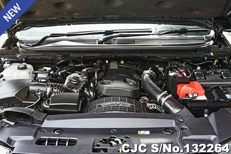 Ford Ranger in Black for Sale Image 12