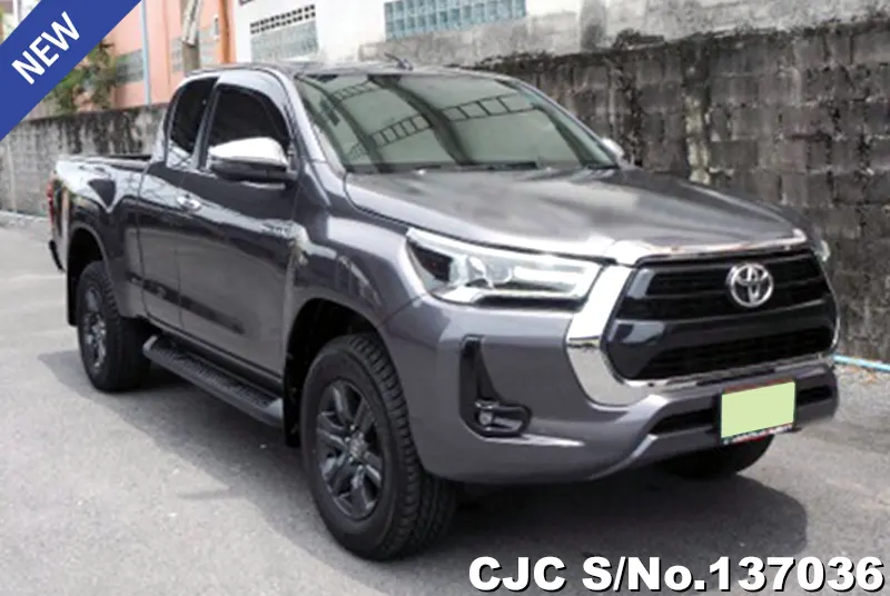 Toyota Hilux in Gray for Sale Image 0