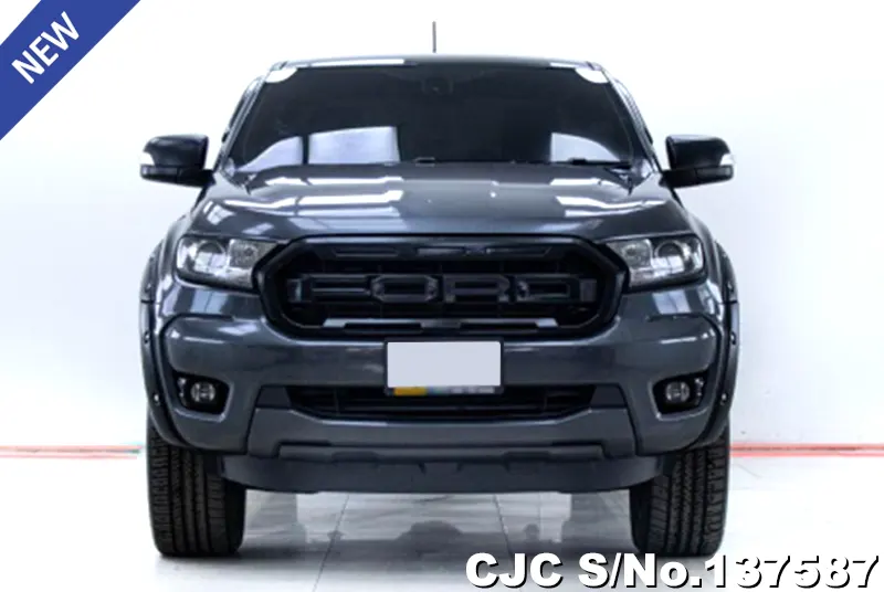 Ford Ranger in Gray for Sale Image 3