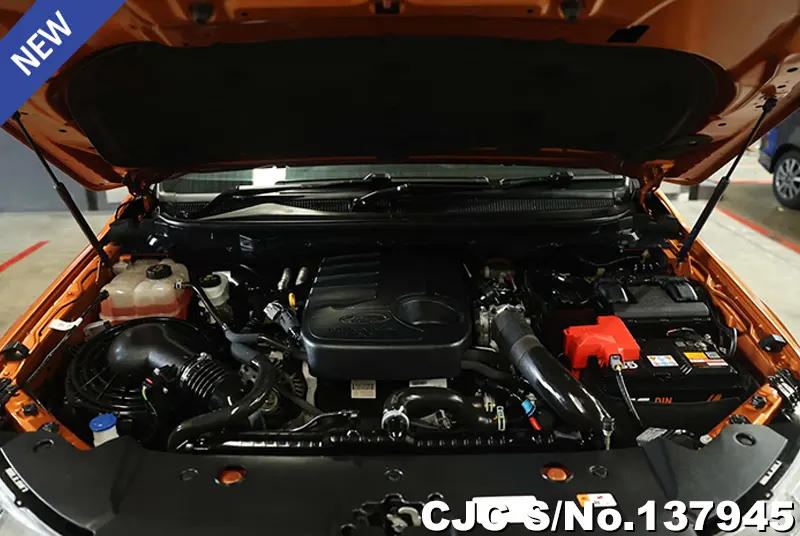 Ford Ranger in Orange for Sale Image 14